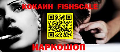 спиды Гай