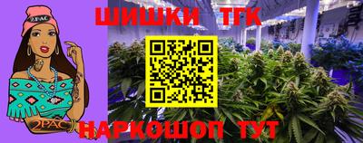 спиды Гай