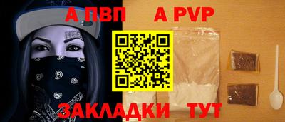 спиды Гай