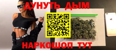 спиды Гай