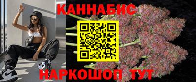 спиды Гай